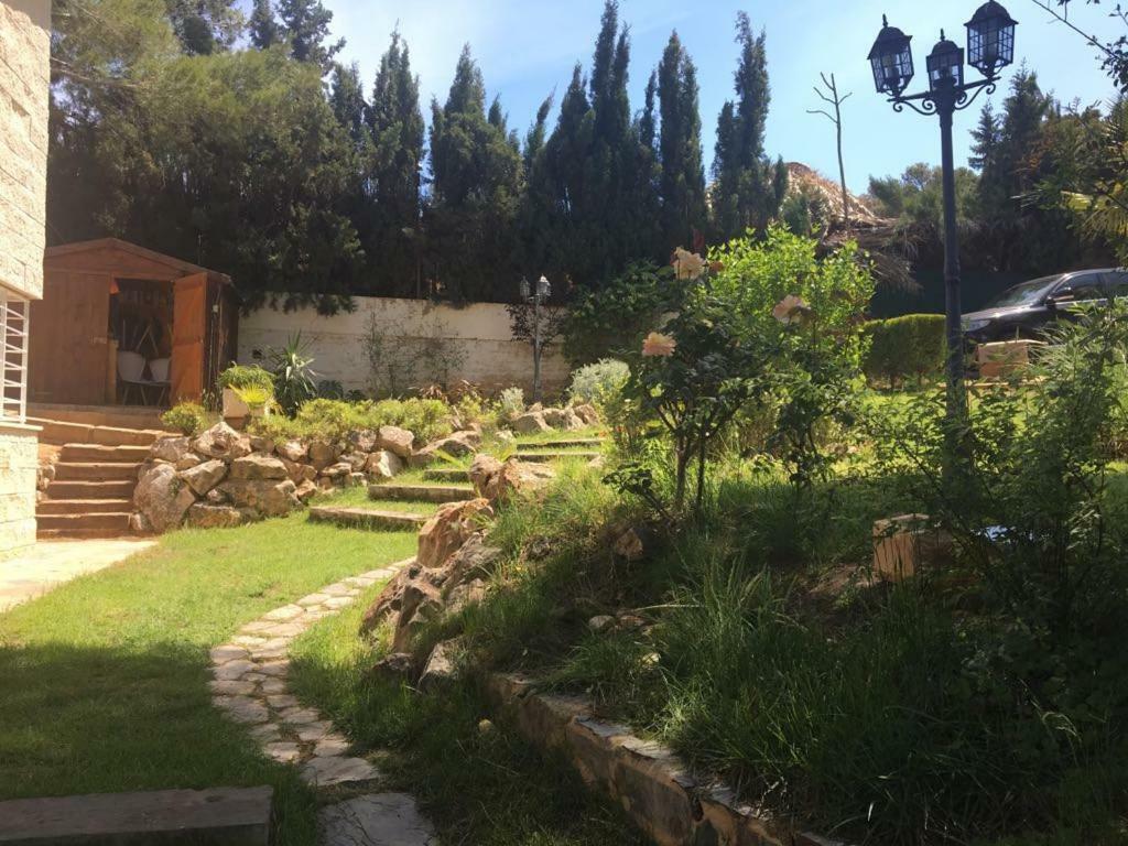 Domus Valencia Apartamentos Casa Con Piscina Privada A 30 Minutos De Valencia Turis ภายนอก รูปภาพ